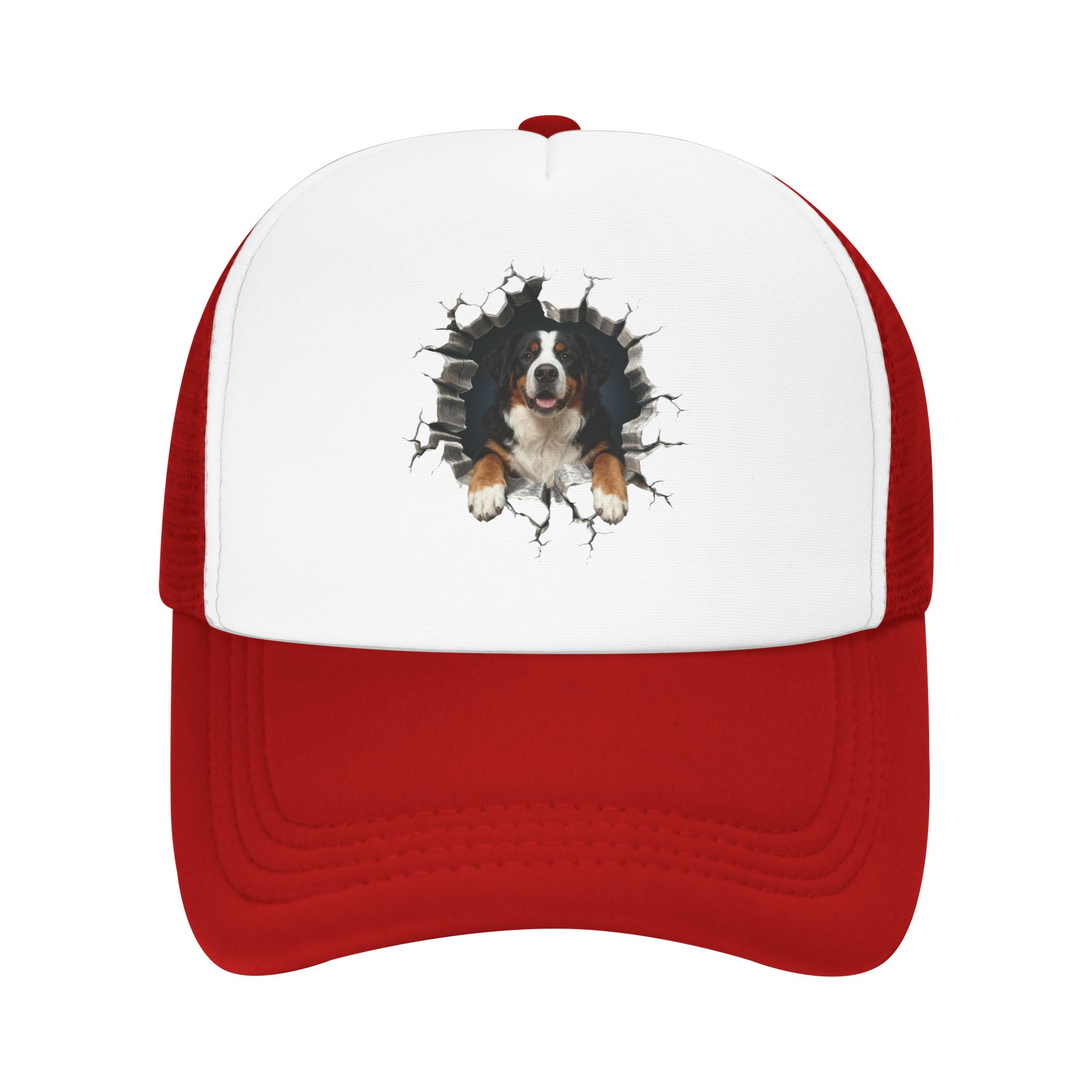 Breaking Through Bernese Mount - Trucker Hat Cap recension och pris