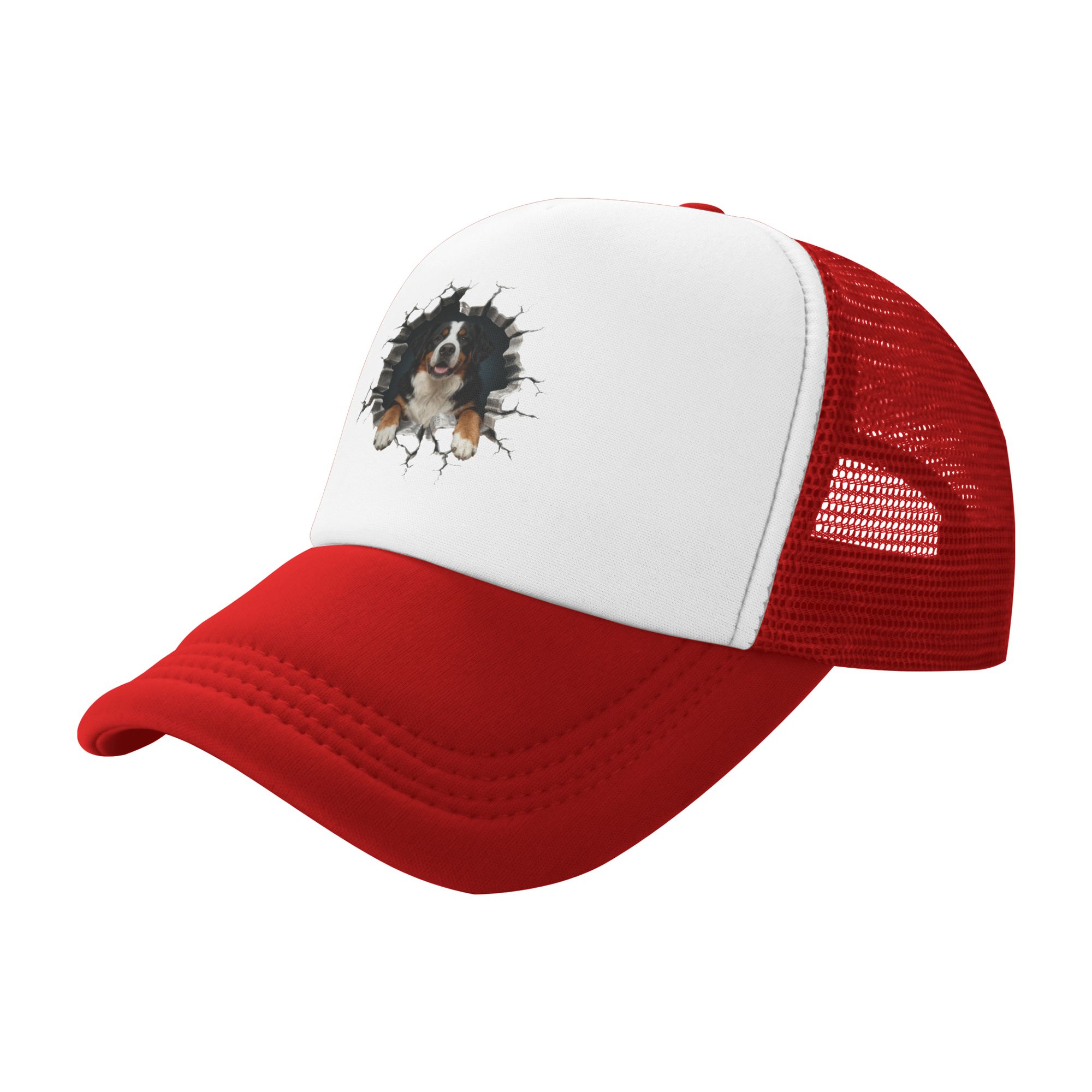 Breaking Through Bernese Mount - Trucker Hat Cap recension och pris
