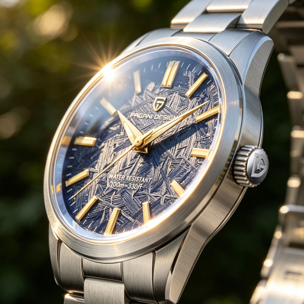 PAGANI DESIGN 40MM Men Quartz  - Mens Fashion Watch recension och pris